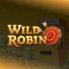 WILDROBIN Casino